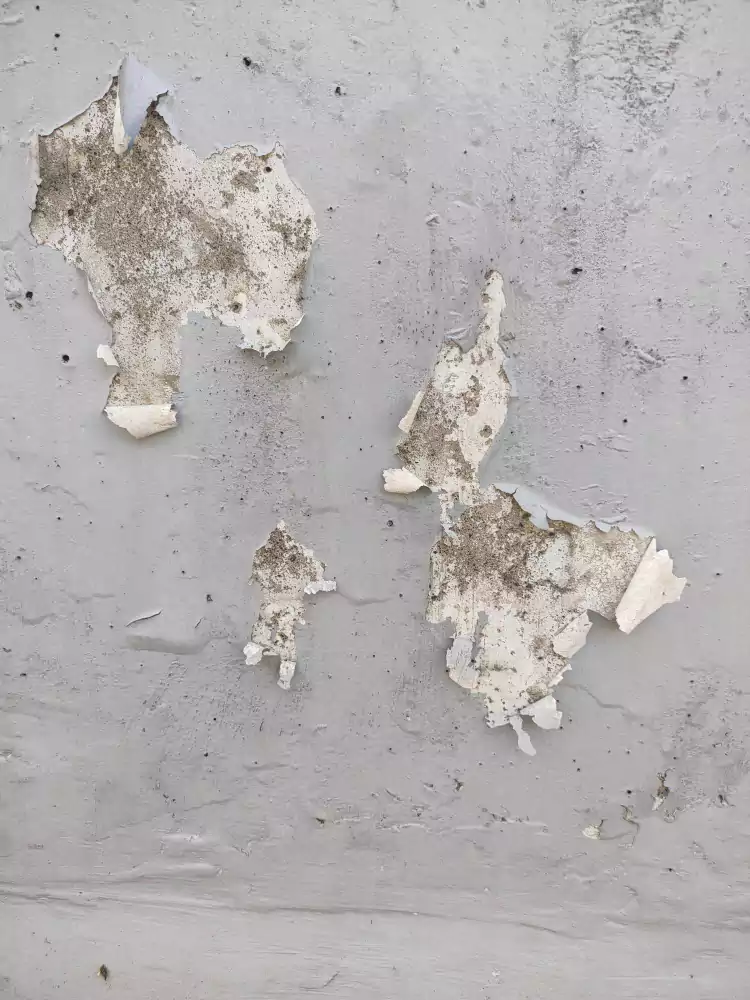 جلوگیری از پوسته شدن رنگ نما ساختمان