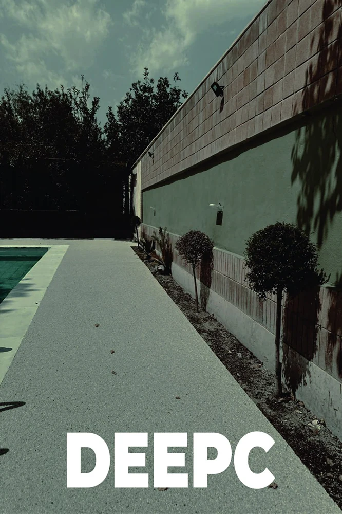 نمونه کار اجرایی دیپسی ویواسمنتو